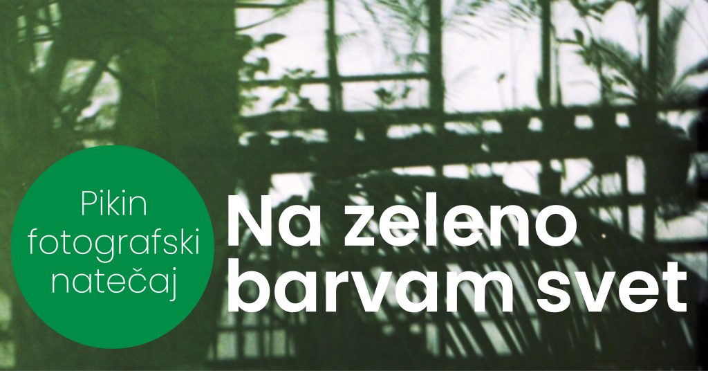Pikin fotografski natečaj